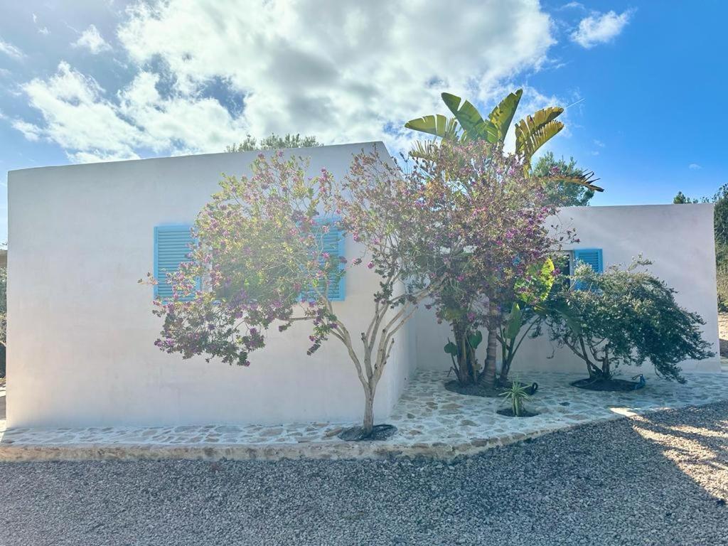Casa Rustick Βίλα San Francisco Javier Εξωτερικό φωτογραφία
