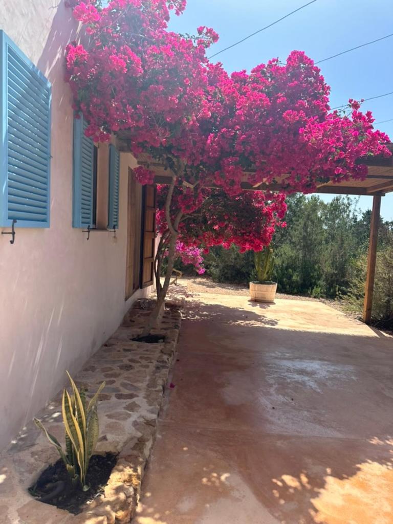 Casa Rustick Βίλα San Francisco Javier Εξωτερικό φωτογραφία
